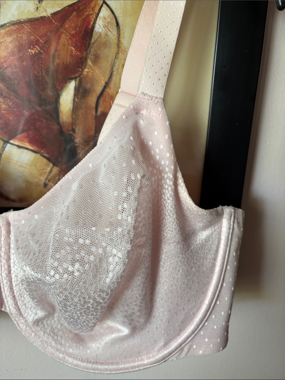 NEW, Wacoal Shimmery Light Pink Underwire Bra - Picture 6 of 10